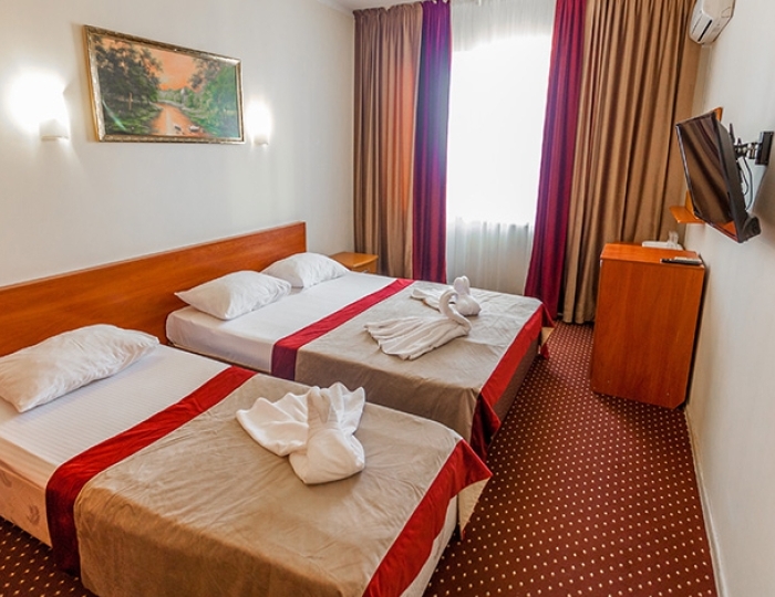 Стандартный 3 местный мансарда без балкона - Отель «ЛермонтовЪ» Лермонтово